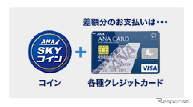 スカイコイン使用例