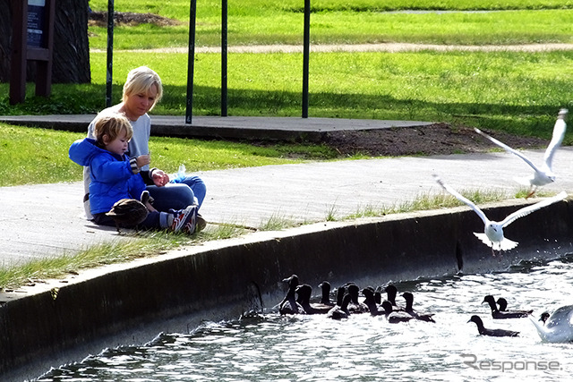 サーキットを外れて湖のほとりに立つ。水鳥に餌をあげる親子に出会った