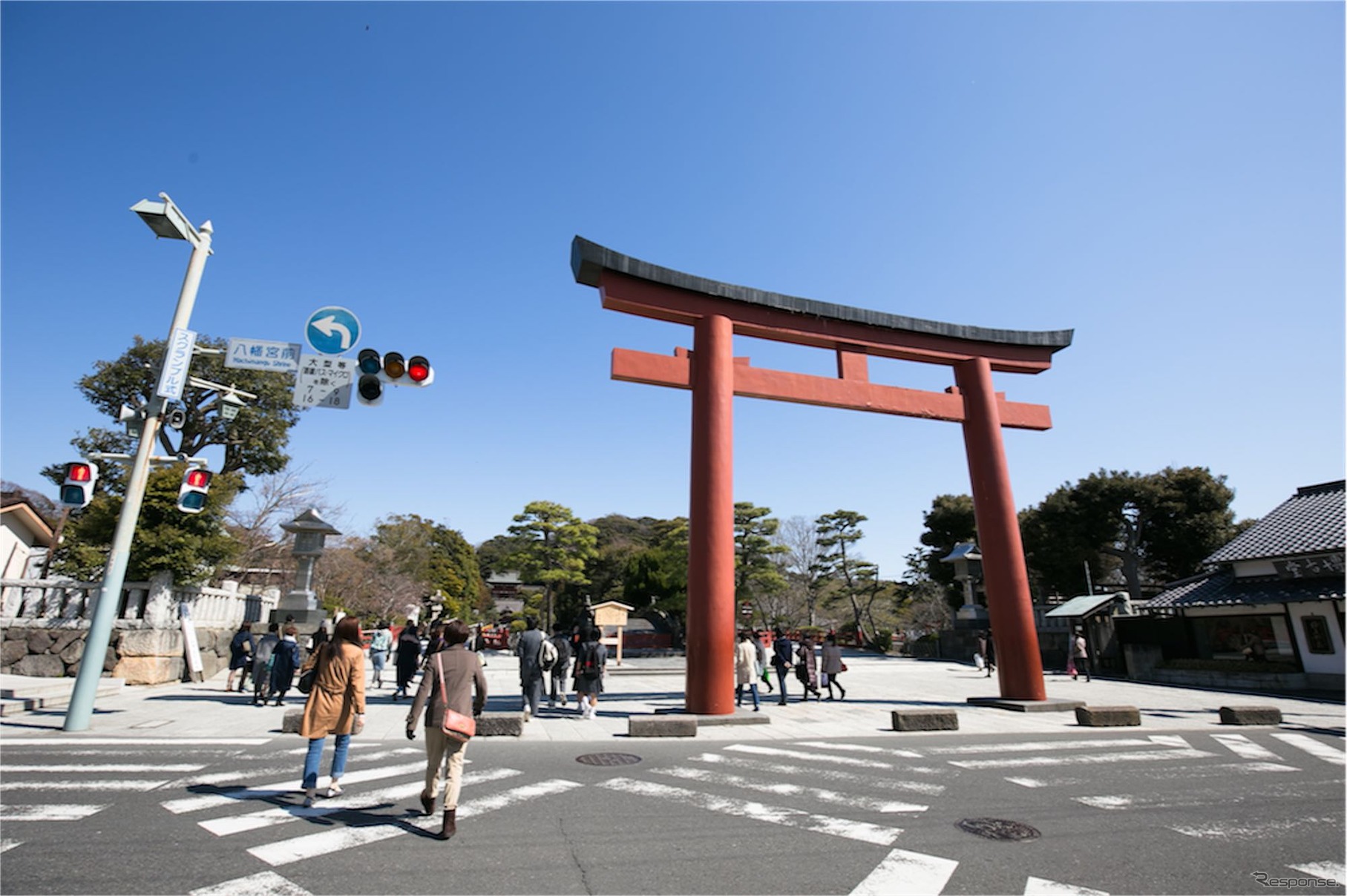 春ドライブ 桜の鎌倉