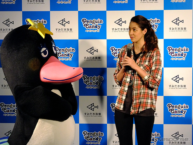 すみだ水族館に登場した、光と音楽とペンギンの新展示「ペンギンキャンディ」（3月21日～7月17日）。3月19日のオープニングイベントには動物好きな森泉も登場。ペンギンを抱き「連れて帰りたい！」と笑った