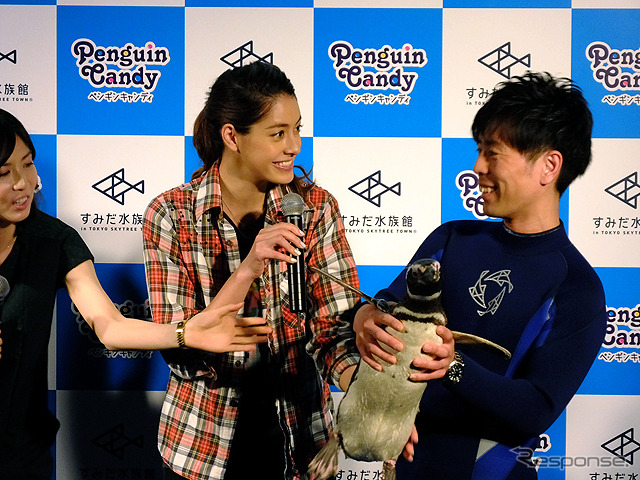 すみだ水族館に登場した、光と音楽とペンギンの新展示「ペンギンキャンディ」（3月21日～7月17日）。3月19日のオープニングイベントには動物好きな森泉も登場。ペンギンを抱き「連れて帰りたい！」と笑った