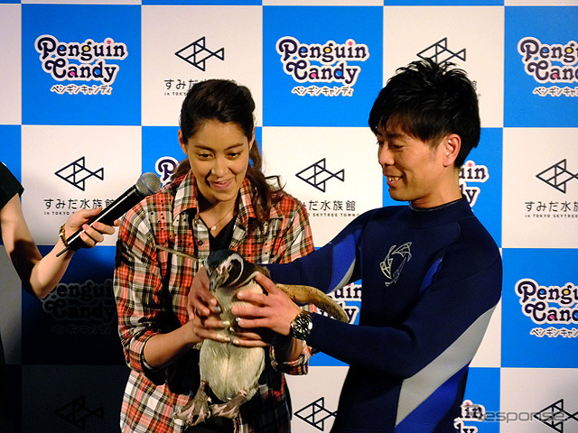 すみだ水族館に登場した、光と音楽とペンギンの新展示「ペンギンキャンディ」（3月21日～7月17日）。3月19日のオープニングイベントには動物好きな森泉も登場。ペンギンを抱き「連れて帰りたい！」と笑った