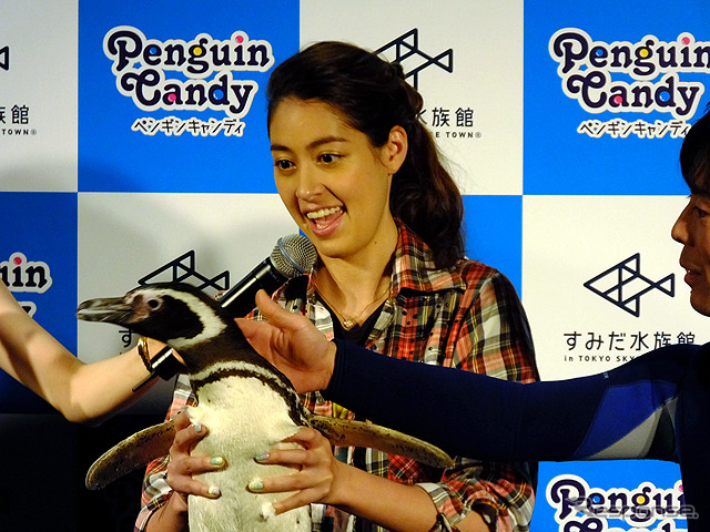 すみだ水族館に登場した、光と音楽とペンギンの新展示「ペンギンキャンディ」（3月21日～7月17日）。3月19日のオープニングイベントには動物好きな森泉も登場。ペンギンを抱き「連れて帰りたい！」と笑った