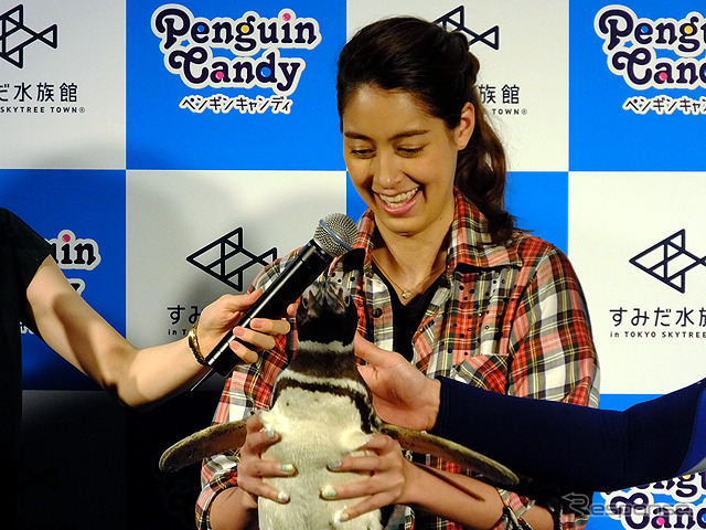 すみだ水族館に登場した、光と音楽とペンギンの新展示「ペンギンキャンディ」（3月21日～7月17日）。3月19日のオープニングイベントには動物好きな森泉も登場。ペンギンを抱き「連れて帰りたい！」と笑った