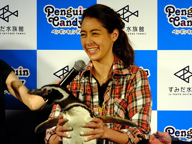 すみだ水族館に登場した、光と音楽とペンギンの新展示「ペンギンキャンディ」（3月21日～7月17日）。3月19日のオープニングイベントには動物好きな森泉も登場。ペンギンを抱き「連れて帰りたい！」と笑った