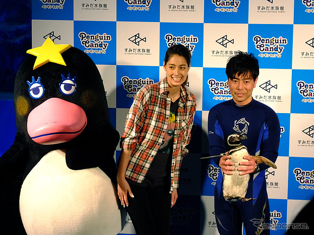 すみだ水族館に登場した、光と音楽とペンギンの新展示「ペンギンキャンディ」（3月21日～7月17日）。3月19日のオープニングイベントには動物好きな森泉も登場。ペンギンを抱き「連れて帰りたい！」と笑った