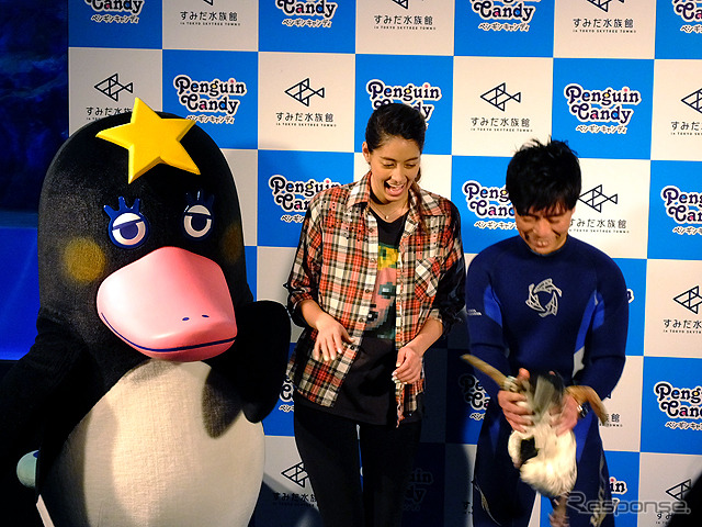 すみだ水族館に登場した、光と音楽とペンギンの新展示「ペンギンキャンディ」（3月21日～7月17日）。3月19日のオープニングイベントには動物好きな森泉も登場。ペンギンを抱き「連れて帰りたい！」と笑った