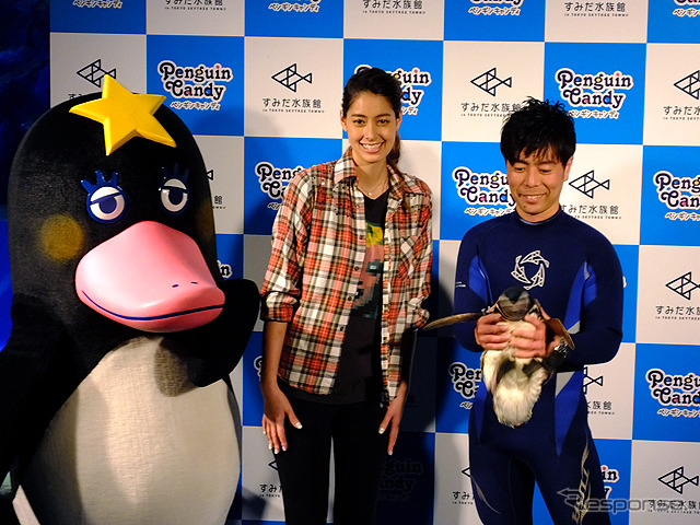 すみだ水族館に登場した、光と音楽とペンギンの新展示「ペンギンキャンディ」（3月21日～7月17日）。3月19日のオープニングイベントには動物好きな森泉も登場。ペンギンを抱き「連れて帰りたい！」と笑った