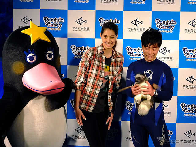 すみだ水族館に登場した、光と音楽とペンギンの新展示「ペンギンキャンディ」（3月21日～7月17日）。3月19日のオープニングイベントには動物好きな森泉も登場。ペンギンを抱き「連れて帰りたい！」と笑った