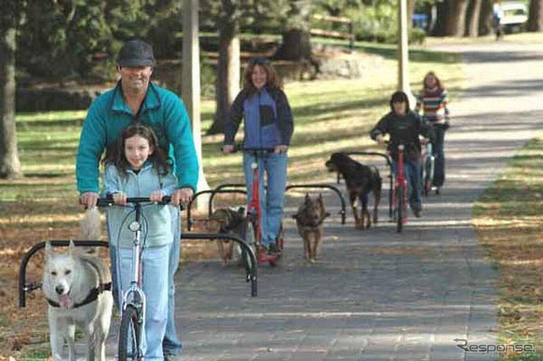 犬の力で走るスクーター
