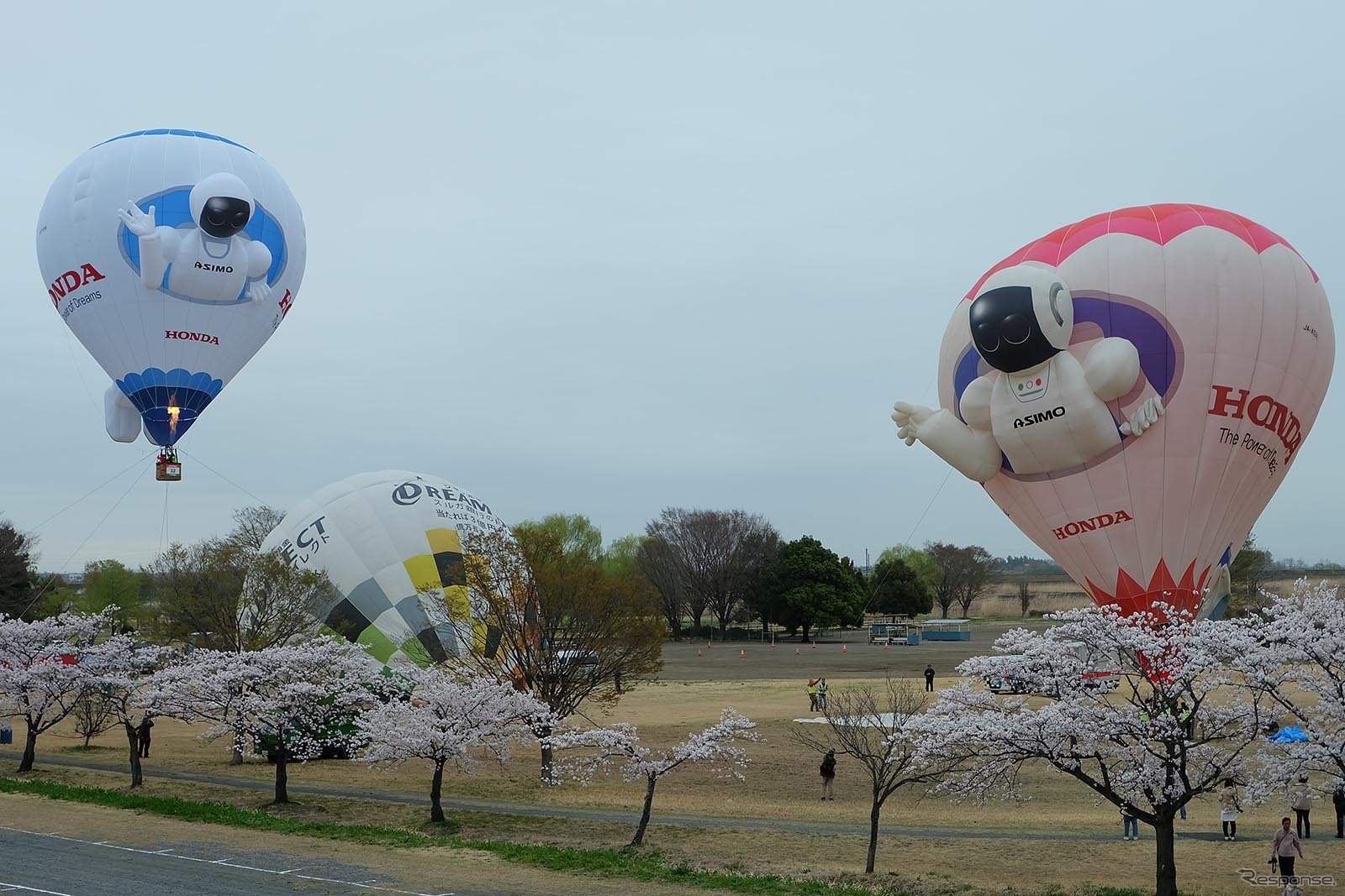 2015熱気球ホンダグランプリ（4日のようす）