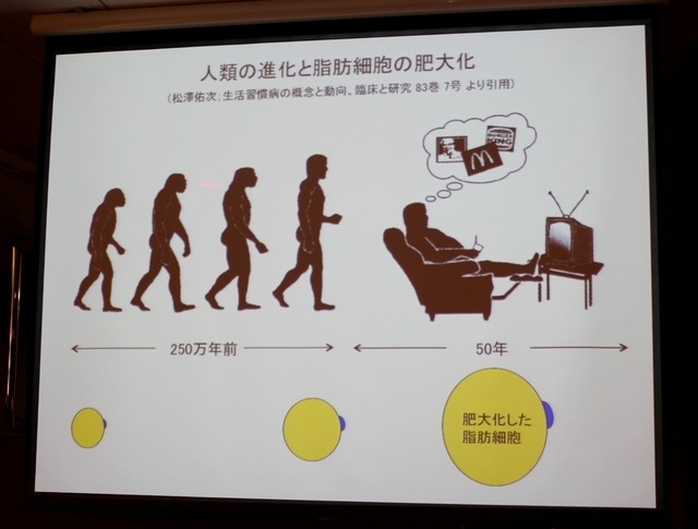 人類の進化と脂肪細胞の肥大化