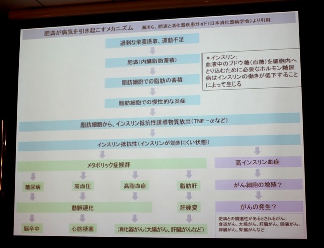 肥満が病気を引き起こすメカニズム