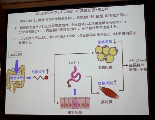 ビフィズス菌BifiXの基礎研究・まとめ