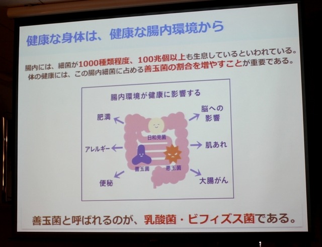 腸内環境が健康に影響する