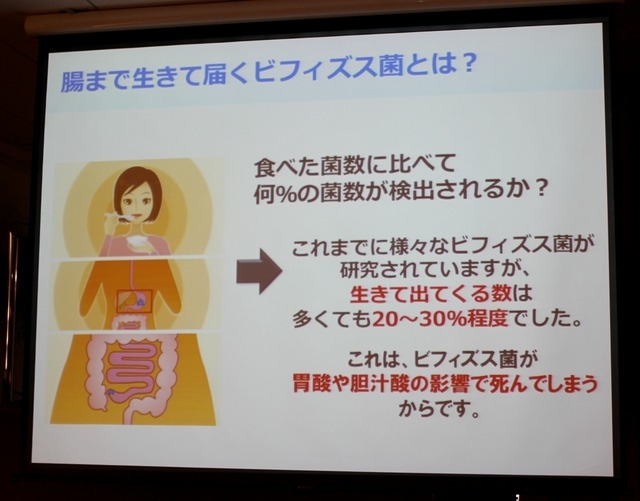 腸まで生きて届くビフィズス菌とは？