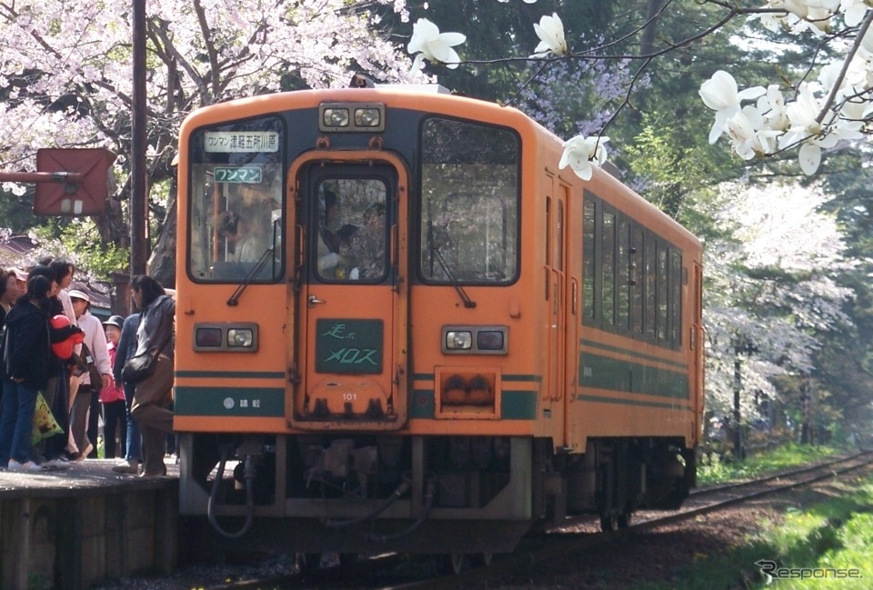 サクラが満開の芦野公園駅に停車する津軽21形気動車。春の客車列車をけん引する。