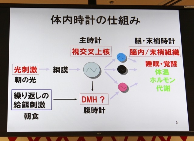 早稲田大学先進理工学部 柴田重信教授の講演資料