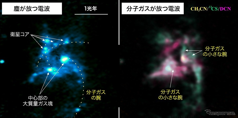 アルマ望遠鏡が波長1.3mmの電波で観測した塵の分布（左）と、アセトニトリル（CH3CN、黄）、硫化炭素の同素体（13CS、緑）、シアン化重水素（DCN、紫）の疑似カラー画像（右）