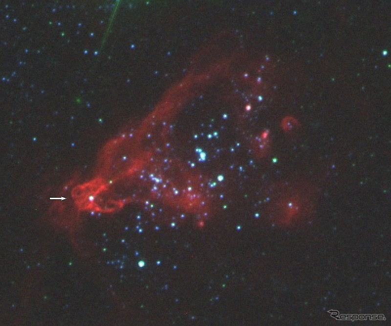 ハッブル宇宙望遠鏡で撮像した、矮小銀河ホルムベルク II にある超高光度X線源 X-1（矢印） の周辺の多色合成画像