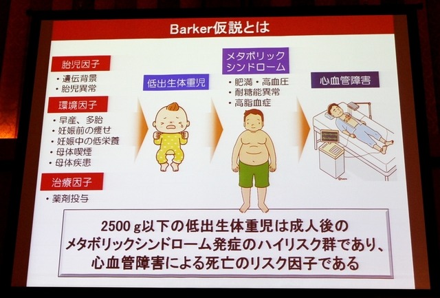 Barker仮説とは（清水誠教授の講演資料）