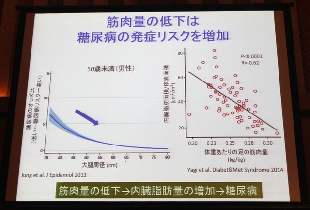 筋肉量の低下は糖尿病の発症リスクを増加（藤田聡教授の講演資料）