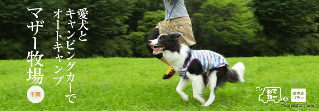 房総半島で愛犬と楽しい体験が楽しめるおでかけプラン「おでか犬」