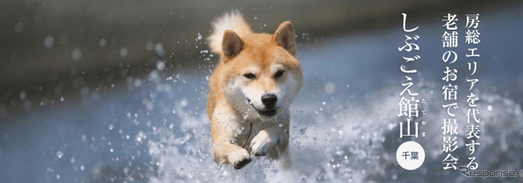 房総半島で愛犬と楽しい体験が楽しめるおでかけプラン「おでか犬」
