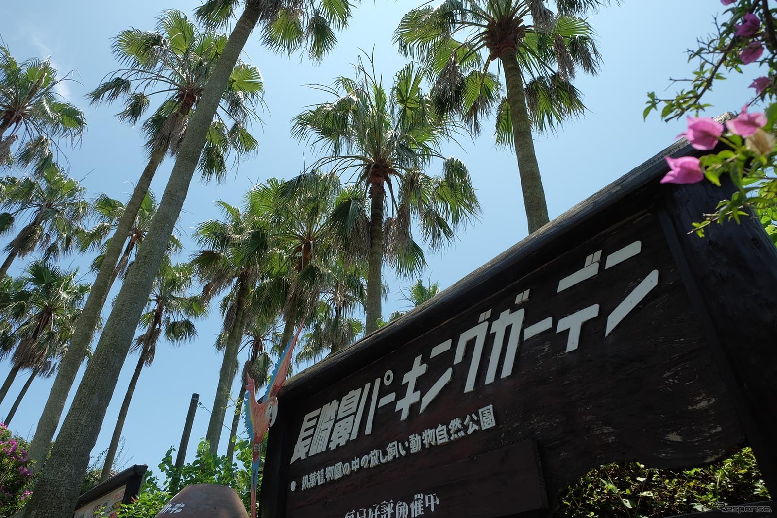 東京から鹿児島へ、LCCと格安レンタカーでダイナミックに旅してみた