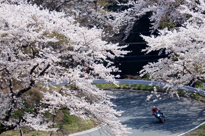 Webike ツーリング・フォトコンテスト（前回の入賞作品）