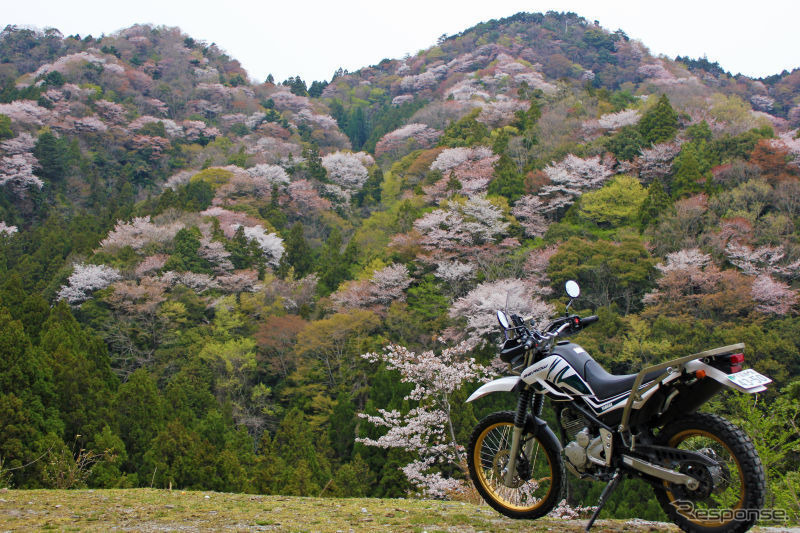 Webike ツーリング・フォトコンテスト（前回の入賞作品）