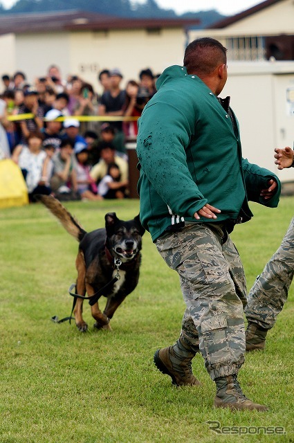 …が、逃走の姿勢を見せた瞬間、飛びかかるようにも訓練されている。