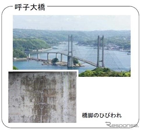 高度な技術が必要なPC斜張橋を有する橋。支承部に著しい腐食などが発生。
