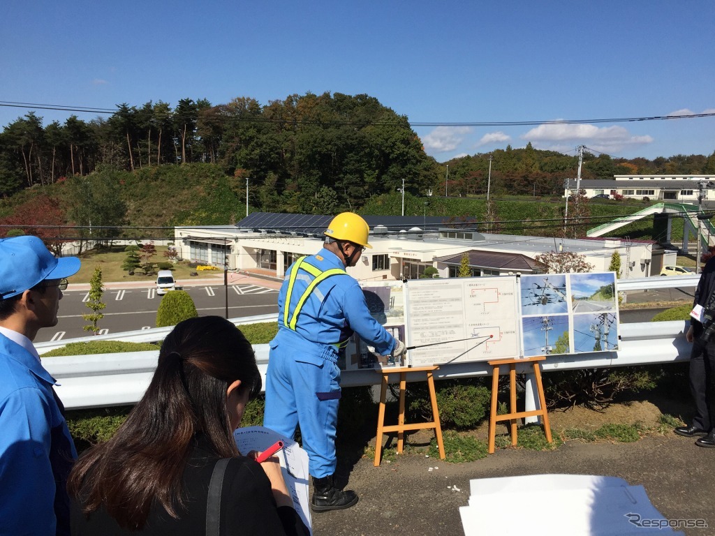 配電線の確認作業