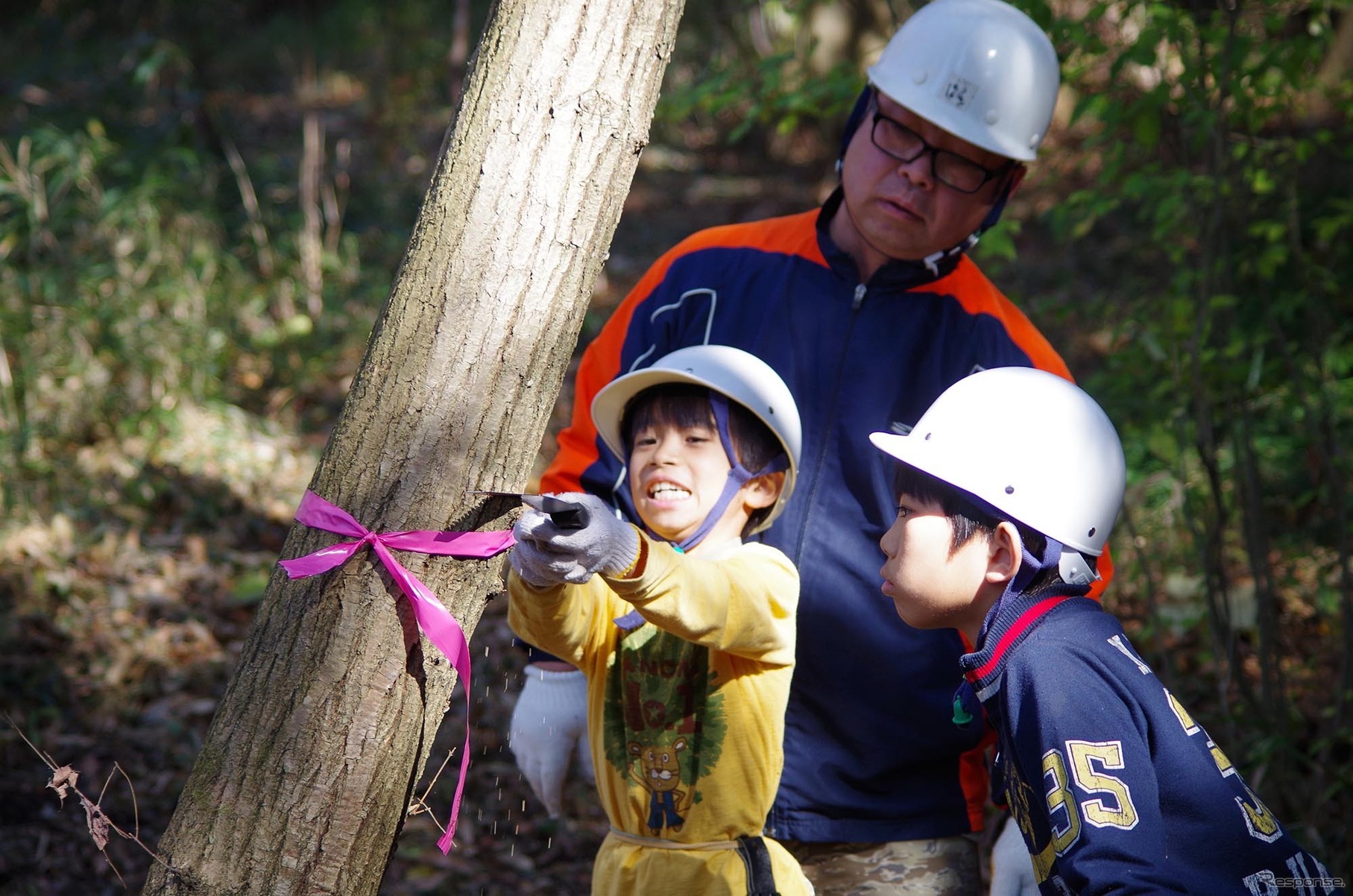 ファインモータースクールの取り組み