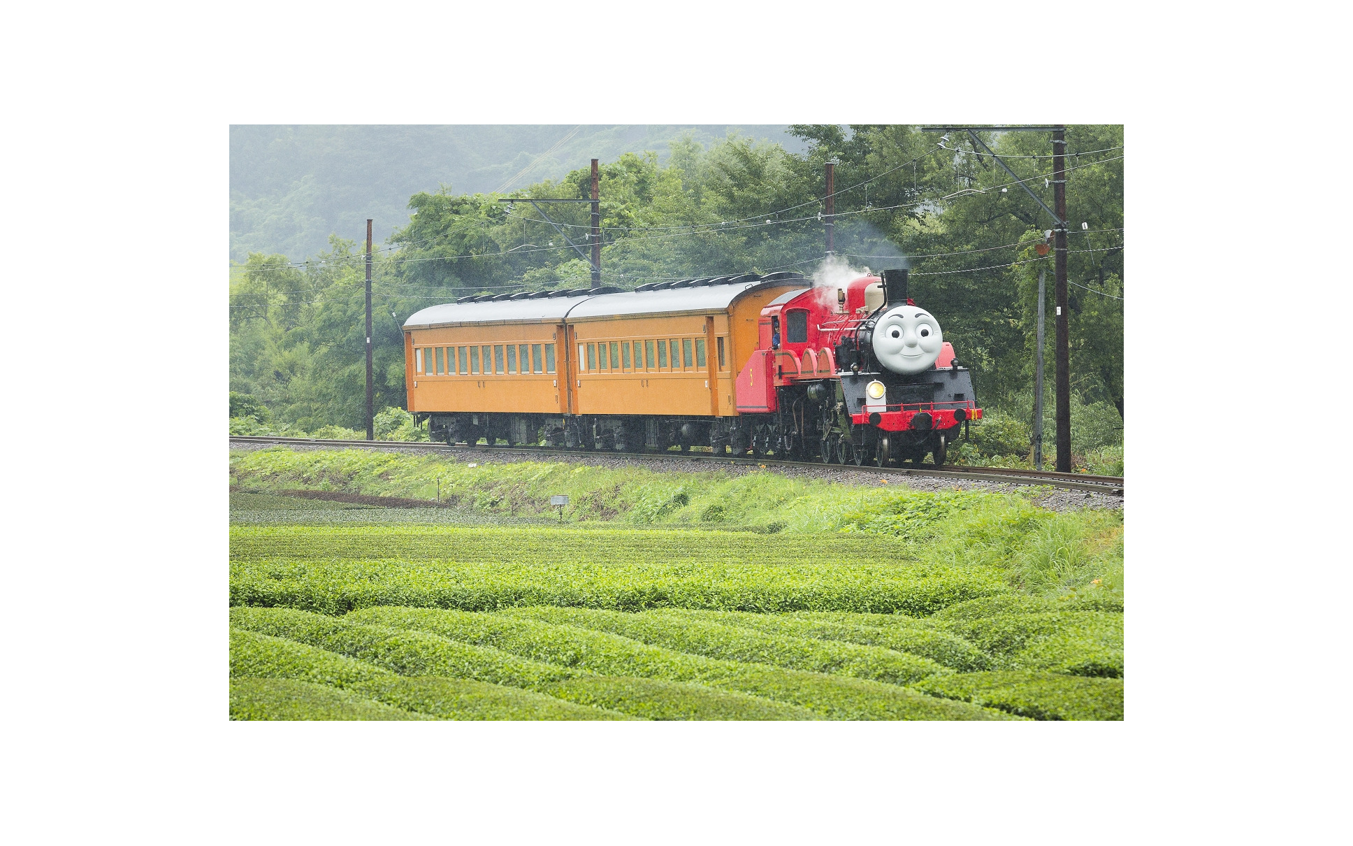 大井川鐵道 きかんしゃトーマス号 先行受付開始 2枚目の写真 画像 レスポンス Response Jp