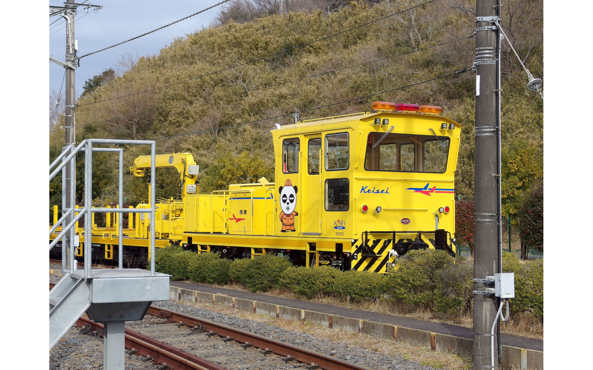 上野動物園の双子パンダ 京成電車のヘッドマークに 5編成が勢ぞろい 33枚目の写真 画像 レスポンス Response Jp