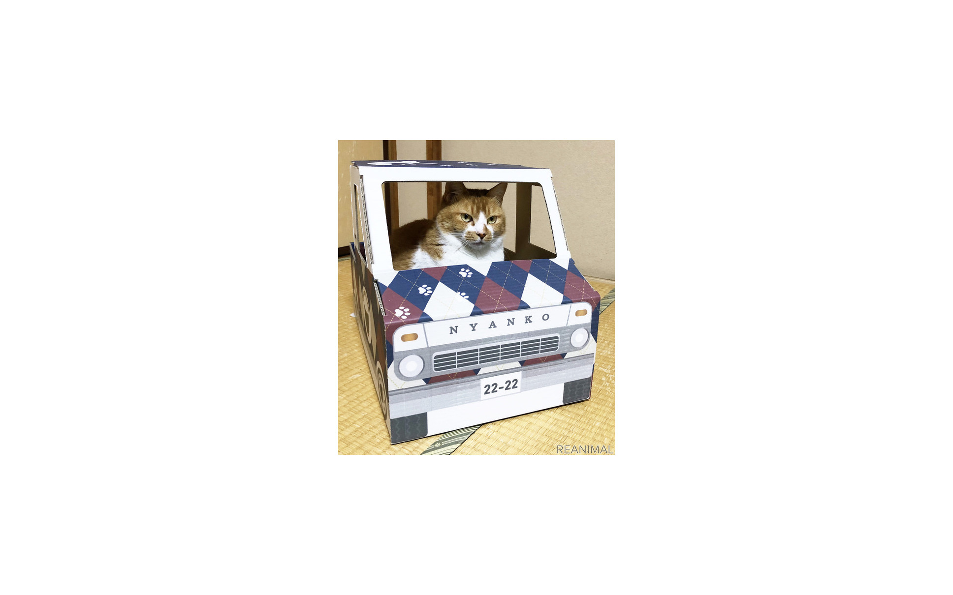 狭い所とダンボールが好きな猫のための 猫トラック 発売 4枚目の写真 画像 レスポンス Response Jp