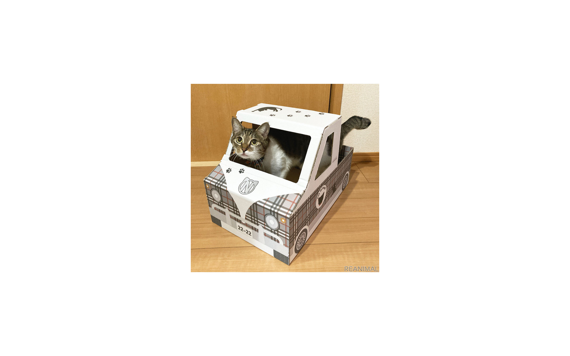 狭い所とダンボールが好きな猫のための 猫トラック 発売 5枚目の写真 画像 レスポンス Response Jp