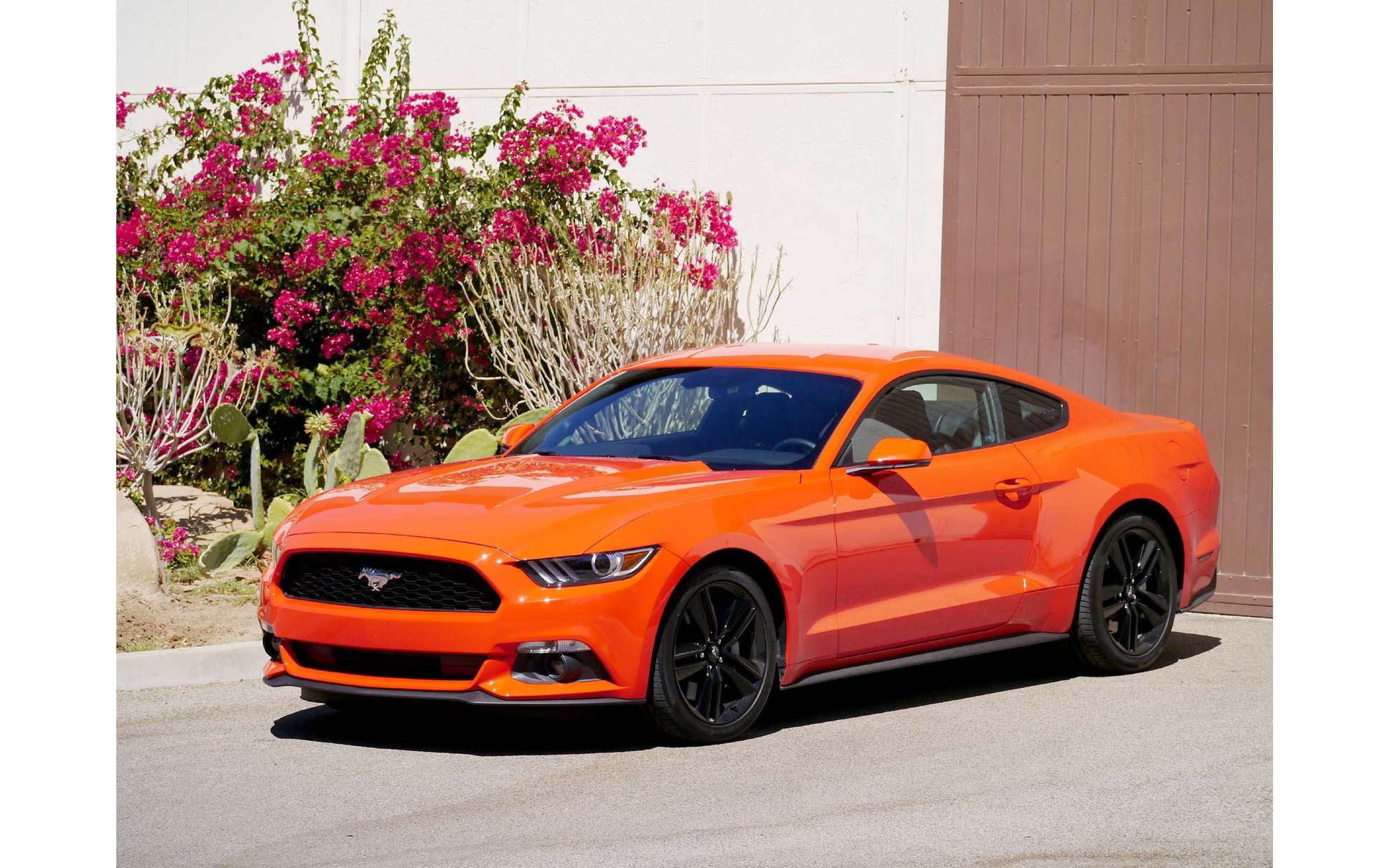 フォード マスタング 新型 アメリカ ビッグ3 変革の年を経て 来春日本へ 1枚目の写真 画像 レスポンス Response Jp フォード マスタング 新型 アメリカ ビッグ3 変革の年を経て 来春日本へ 1枚目の写真 画像 レスポンス Response Jp