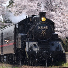 真岡鐡道のSL列車、3月13日に自粛解除…6・7月は車両検査で運休に