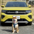 【VW Tクロス TSI R-Line 新型試乗】人にも中型犬にも“ちょうどよさ”が魅力…島崎七生人