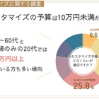 クルマのカスタマイズ、関心は20代が最も高く、予算は10万円未満が6割超…ナイル調べ
