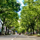 走りも快適性も守る！ 車高調、オイル、電装系まで“お手入れ完全マニュアル”～カスタムHOW TO～