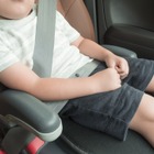 「子供を守るため」シートベルト、チャイルドシートの適切な使用方法…有料会員記事ランキング