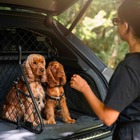 ベントレーのSUV『ベンテイガ』専用、ペットアクセサリーコレクション発表…特注ドッグガードなど