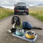 いすゞ『D-Max』で愛犬とアウトドアを楽しむ、公式アクセサリー英国発表…「Ruffwear」とコラボ