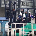 日本通運、全国フォークリフト運転競技大会で一般・女性両部門制覇