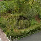 JVCケンウッドの「とんぼ池」、国連OECMデータベースに新規登録…生物多様性保全に寄与