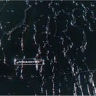 ソフト99「G’ZOX」から撥水・艶・耐久性を極限まで追求したコーティング剤『ハイモース・コート・ヴェリス』登場